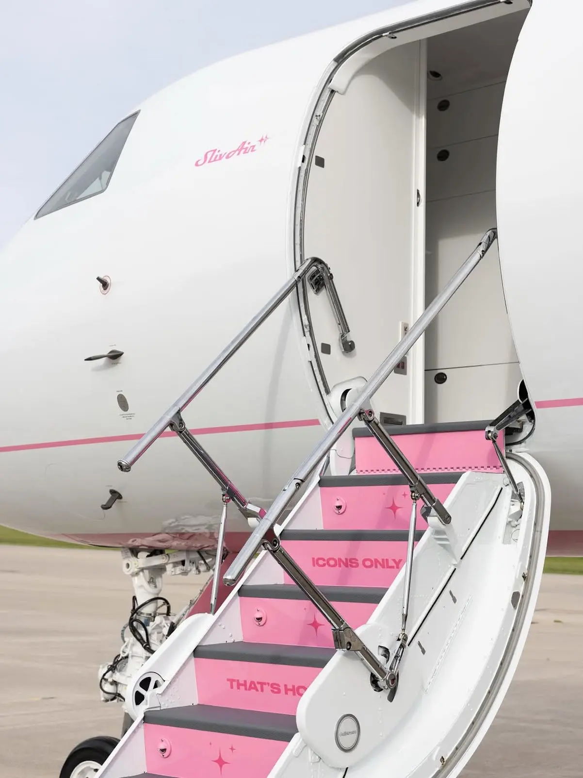 Paris Hilton Jet Rosa 5