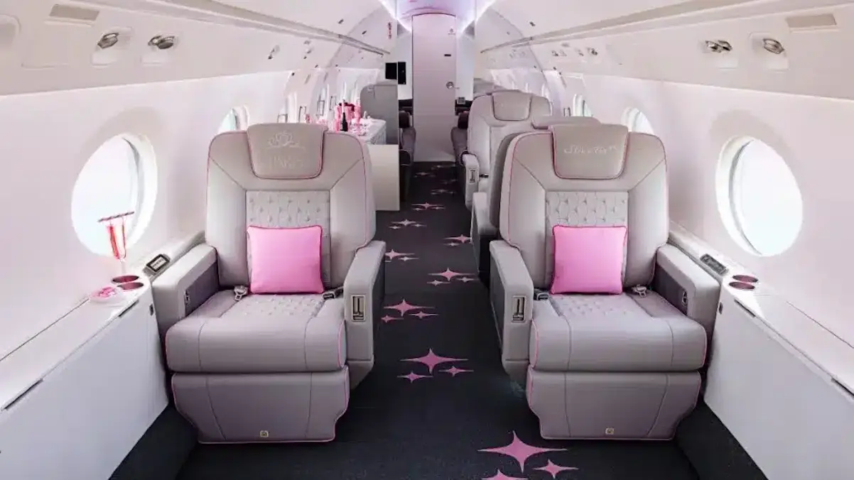 Paris Hilton Jet Rosa 1