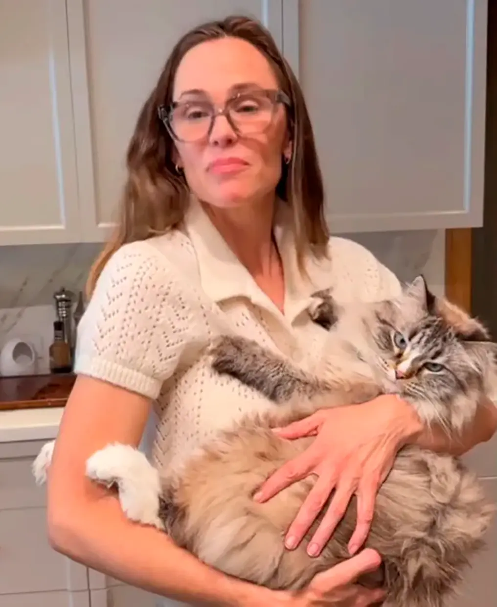 Jennifer Garner gato