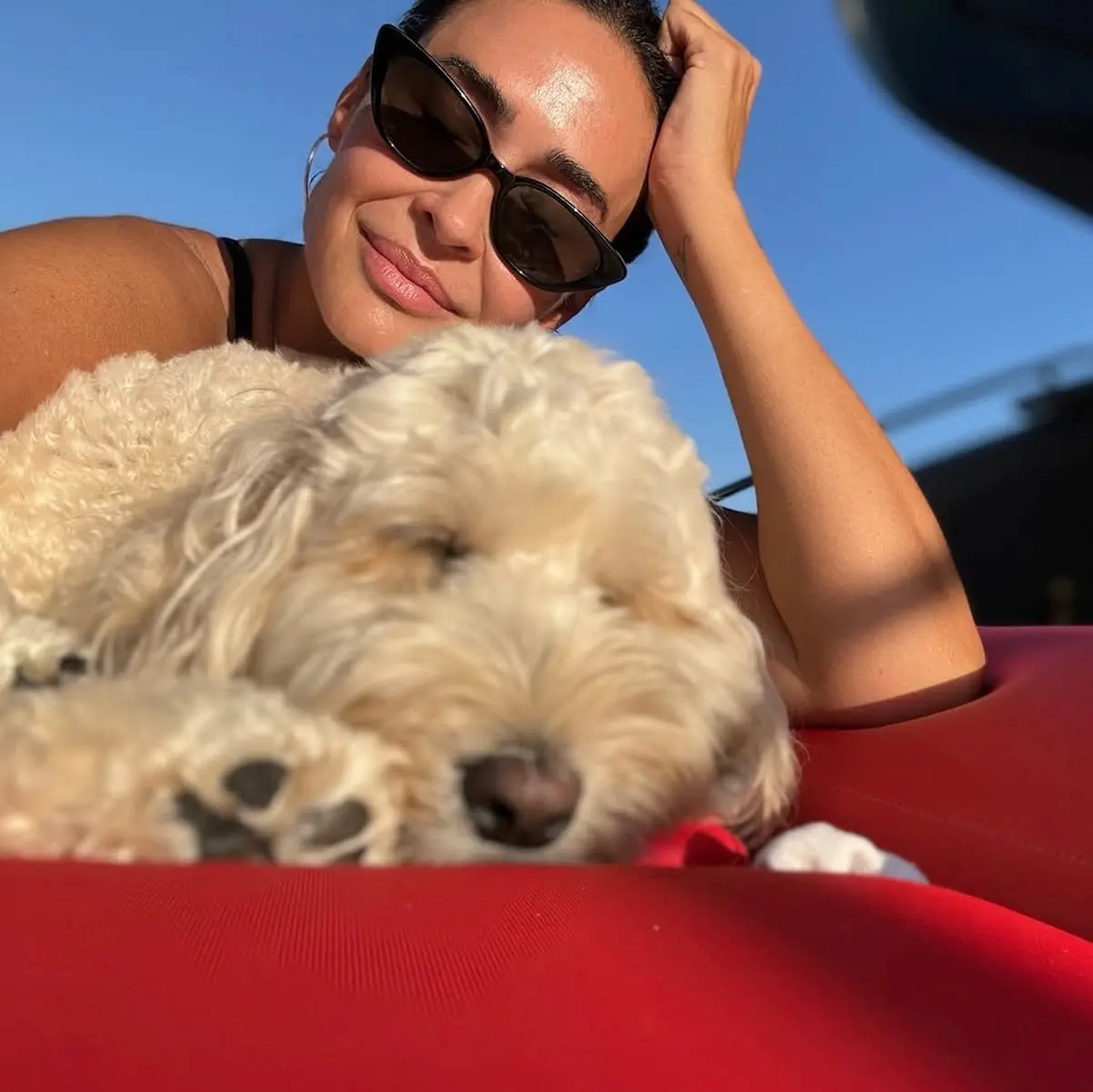 Vicky Martín Berrocal las mejores fotos con su caniche gigante