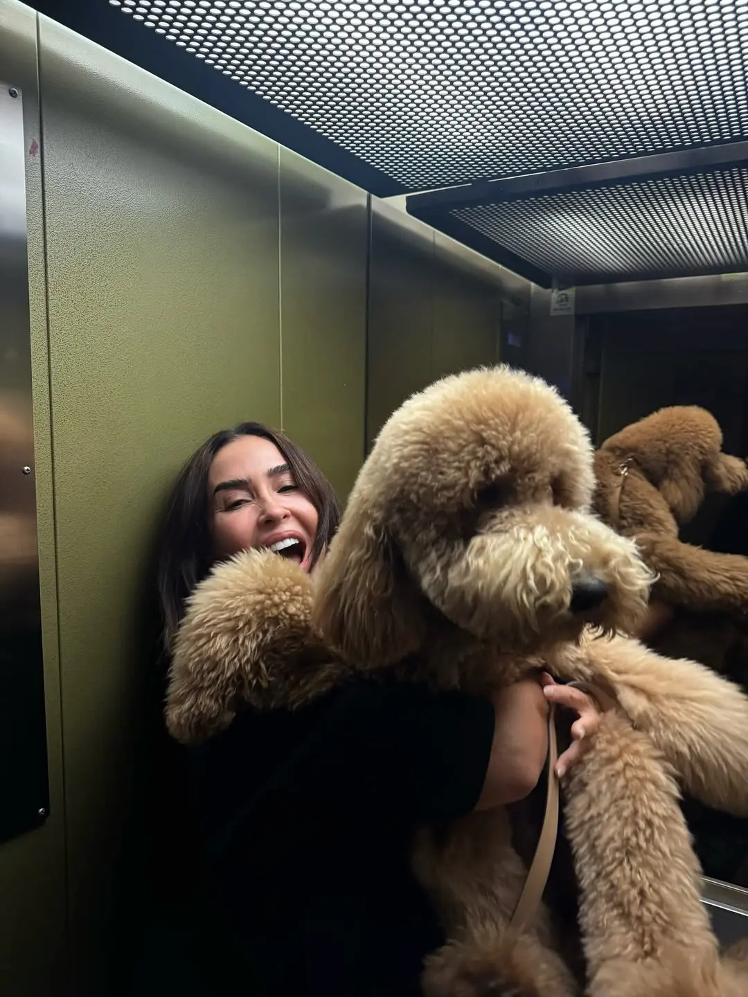 Vicky Martín Berrocal las mejores fotos con su caniche gigante