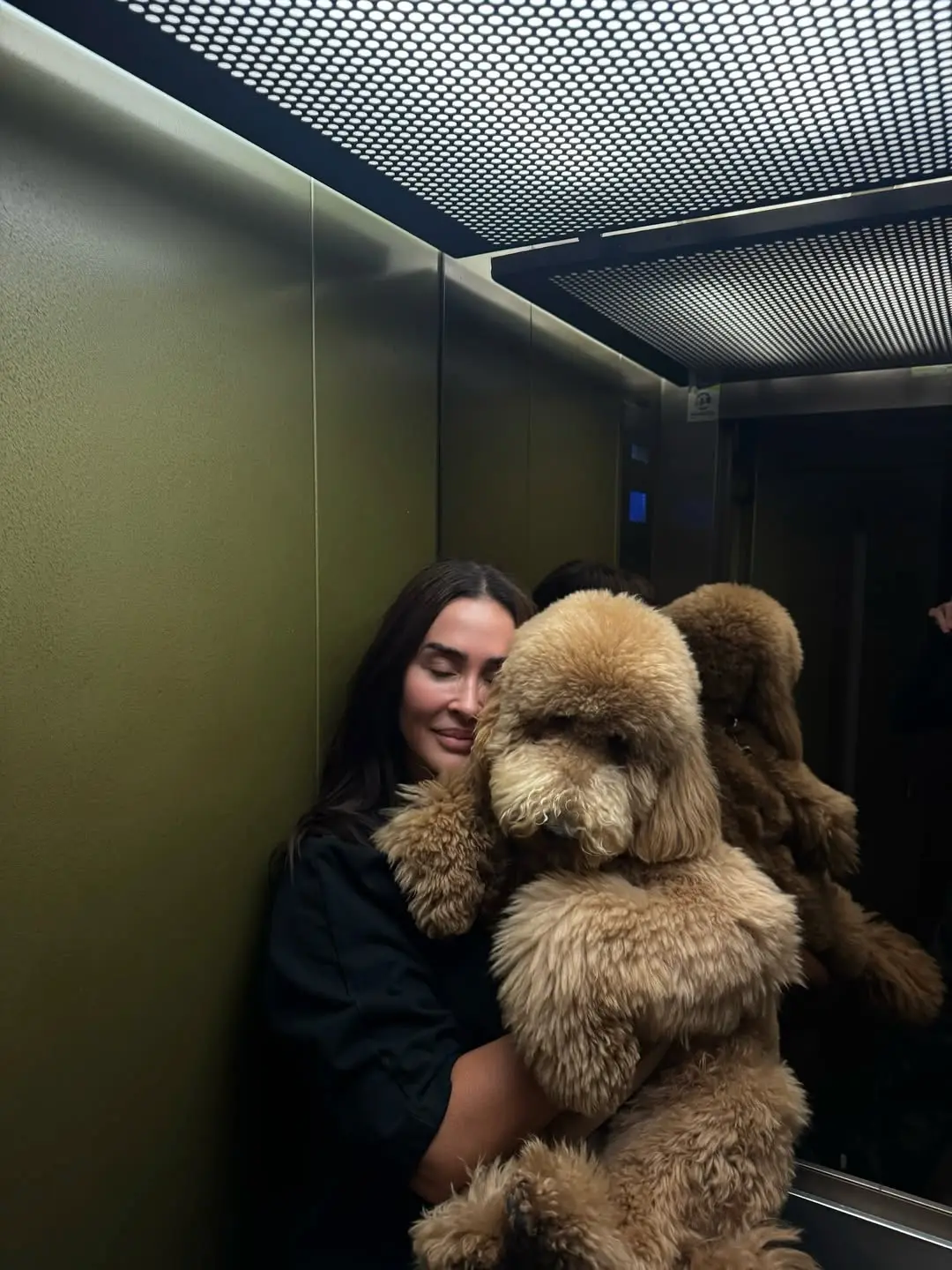 Vicky Martín Berrocal las mejores fotos con su caniche gigante