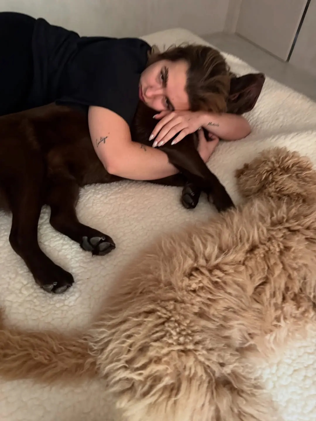Vicky Martín Berrocal las mejores fotos con su caniche gigante