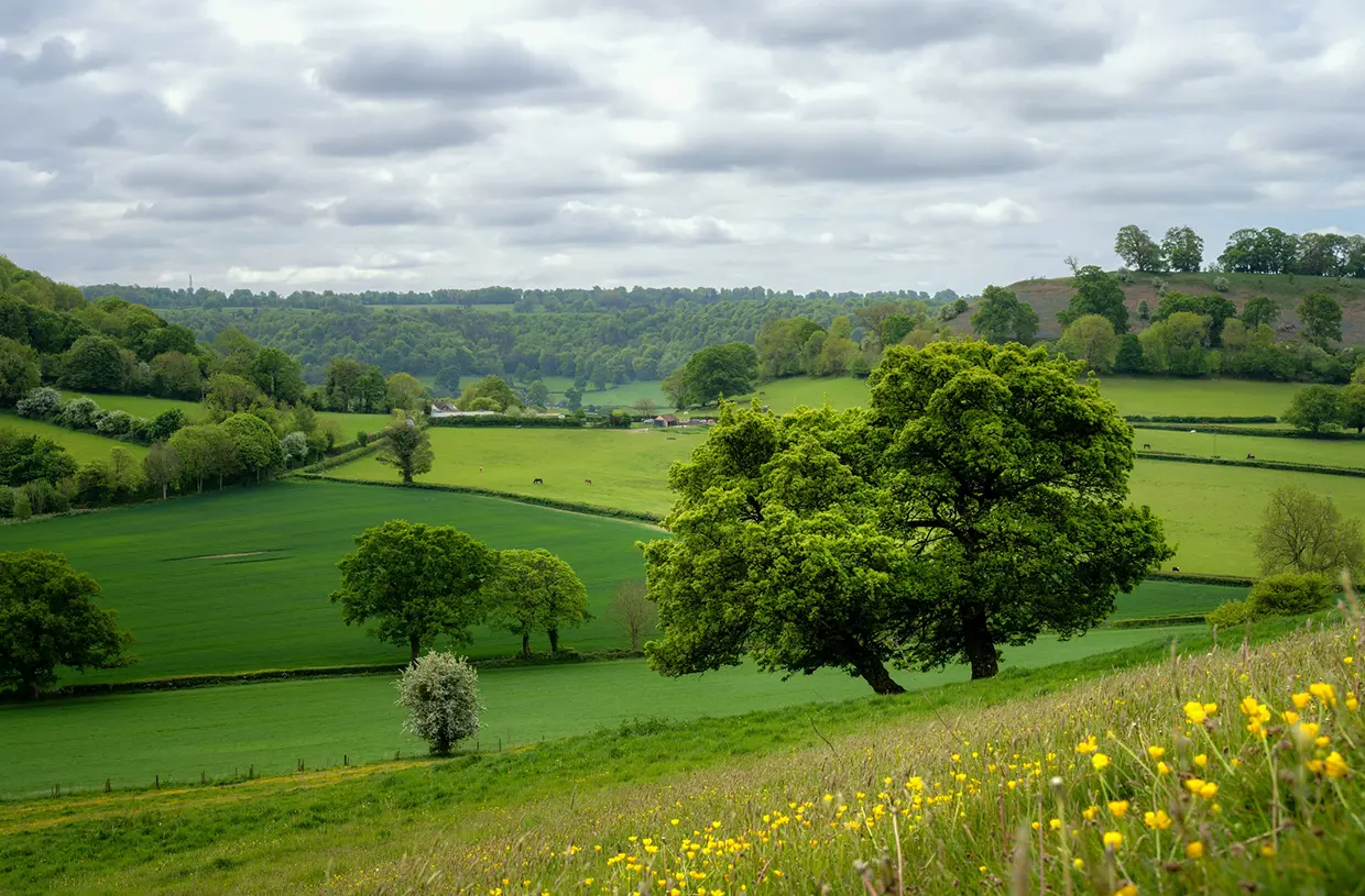 Los Cotswolds