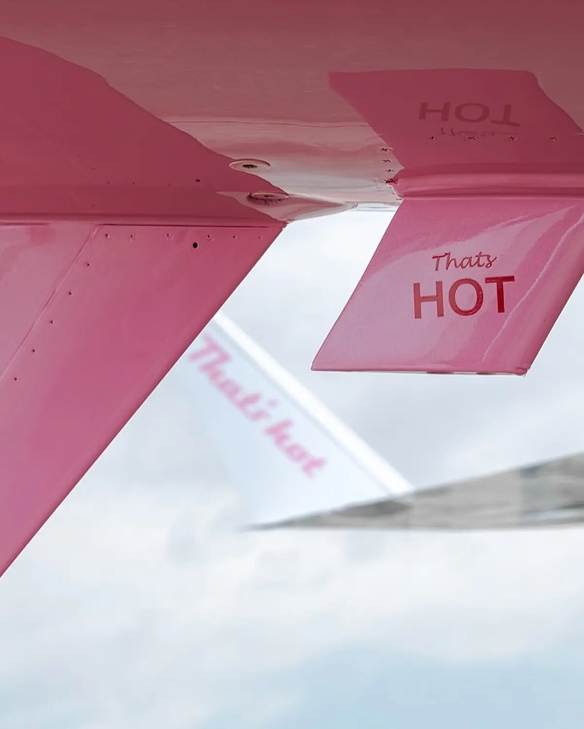 Paris Hilton Jet Rosa 28
