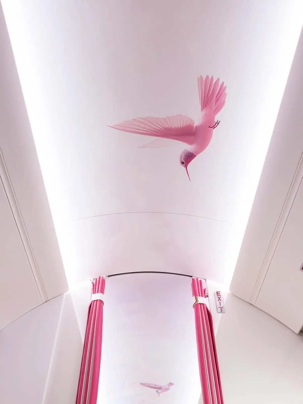 Paris Hilton Jet Rosa