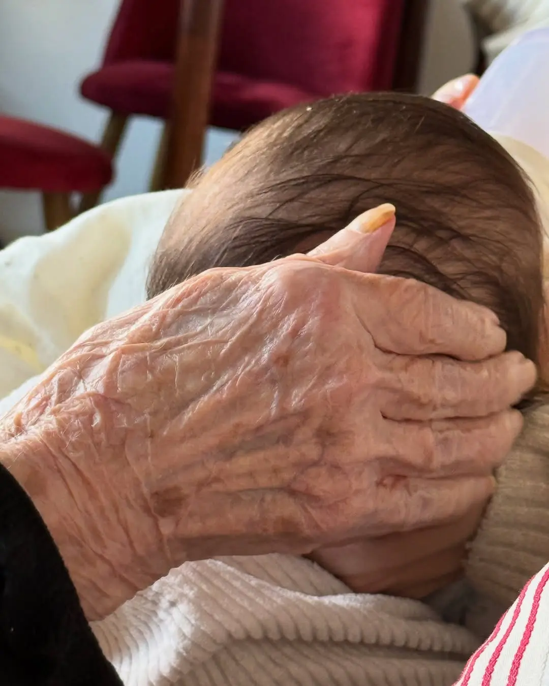 carlo costanzia abuela