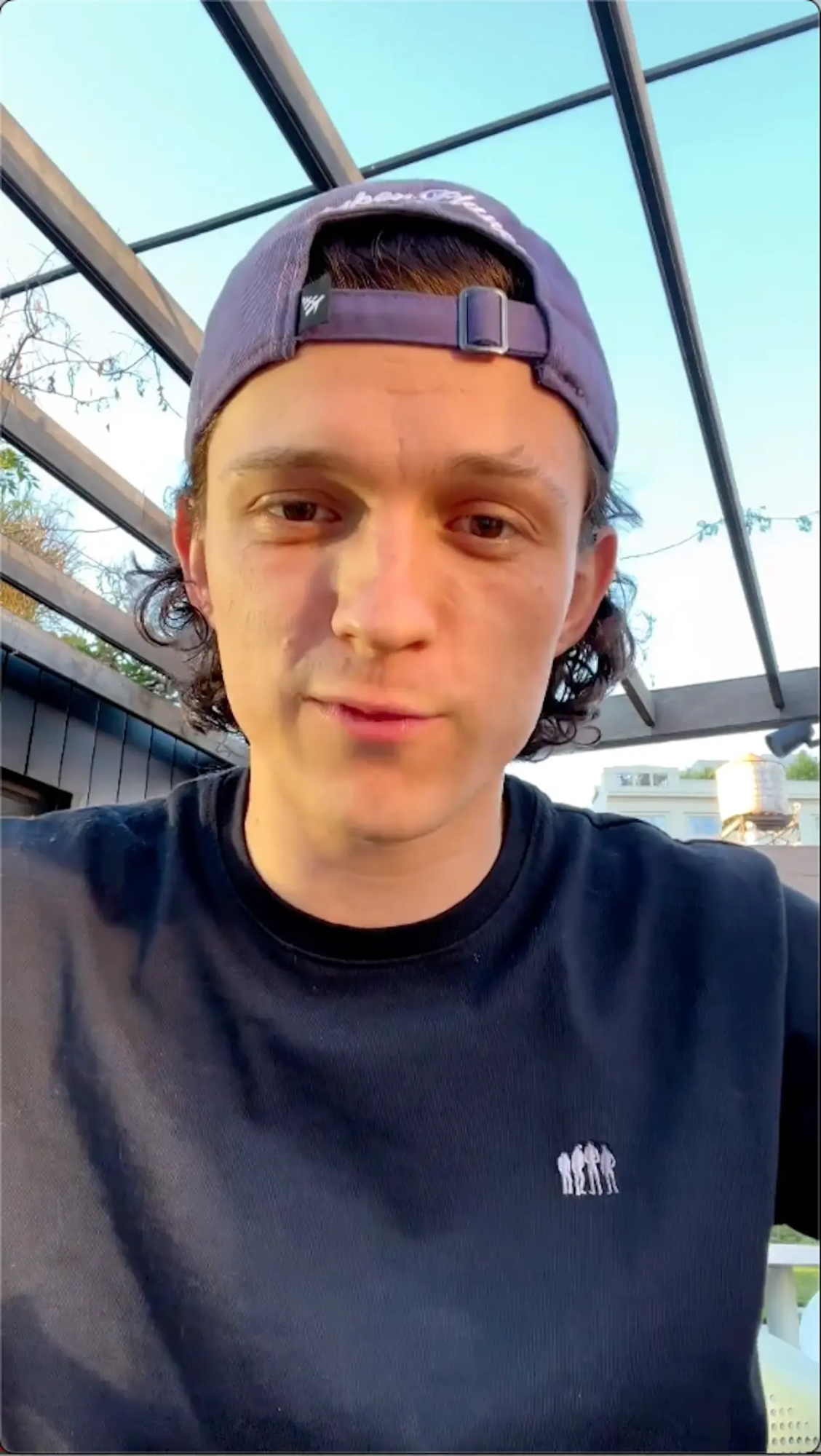 Tom Holland Spiderman
