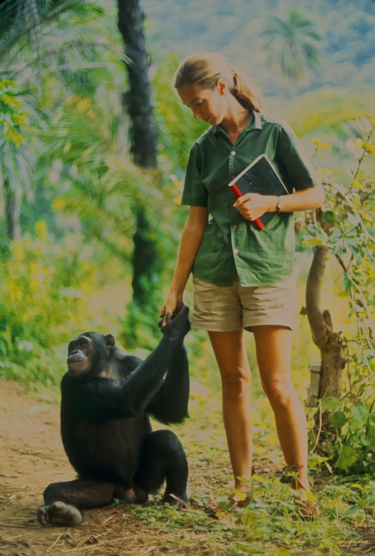 Jane Goodall