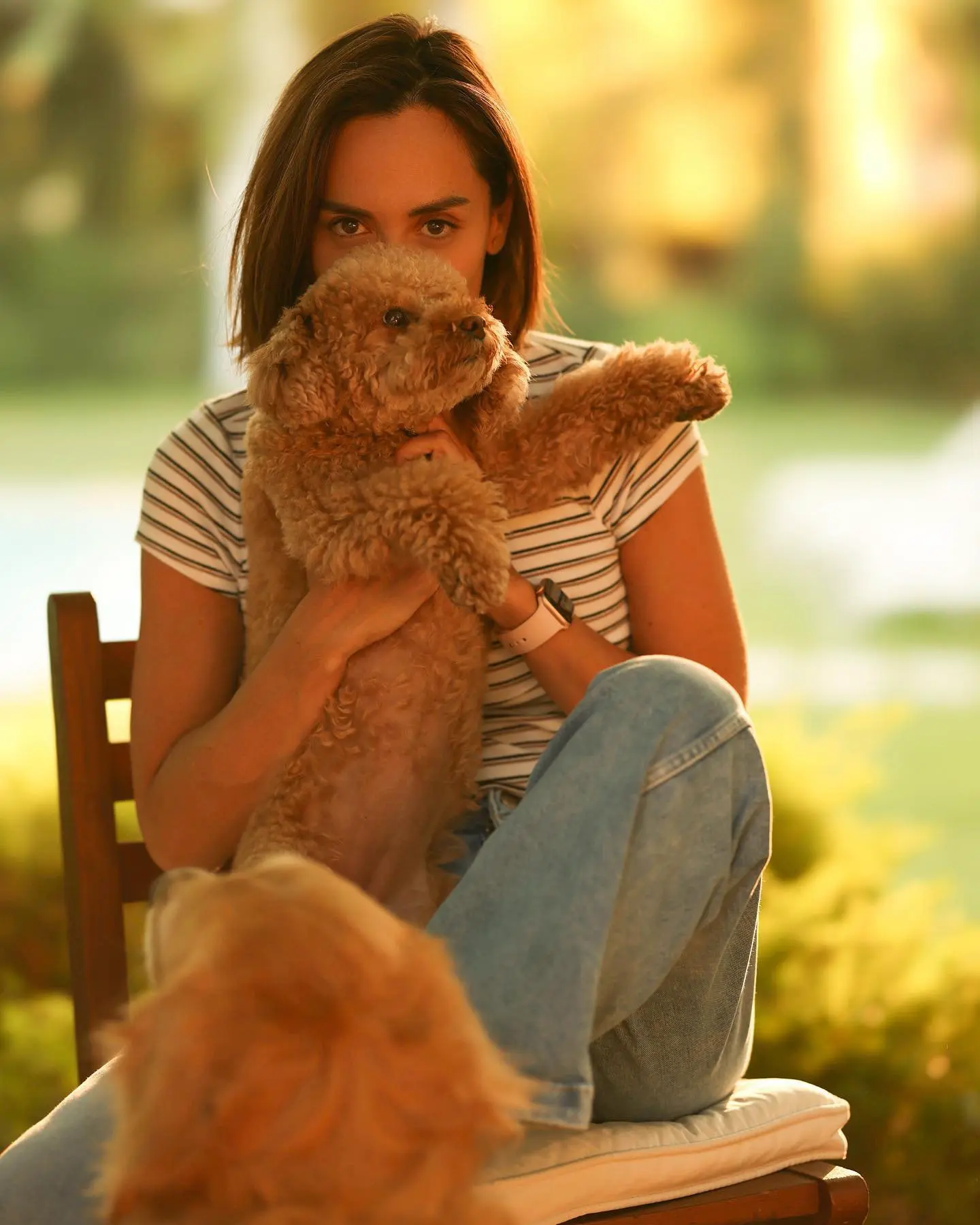 tamara falcó sus perros