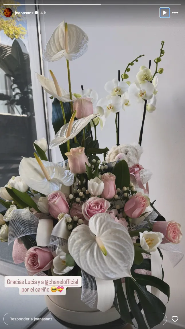 Story de Joana Sanz, compartiendo unas flores que ha recibido tras dar a luz a su primer hijo