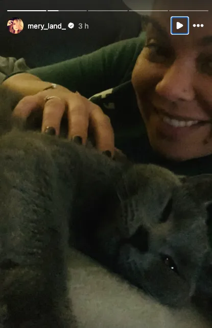 Story de María José Campanario en un retrato con su gato Arab