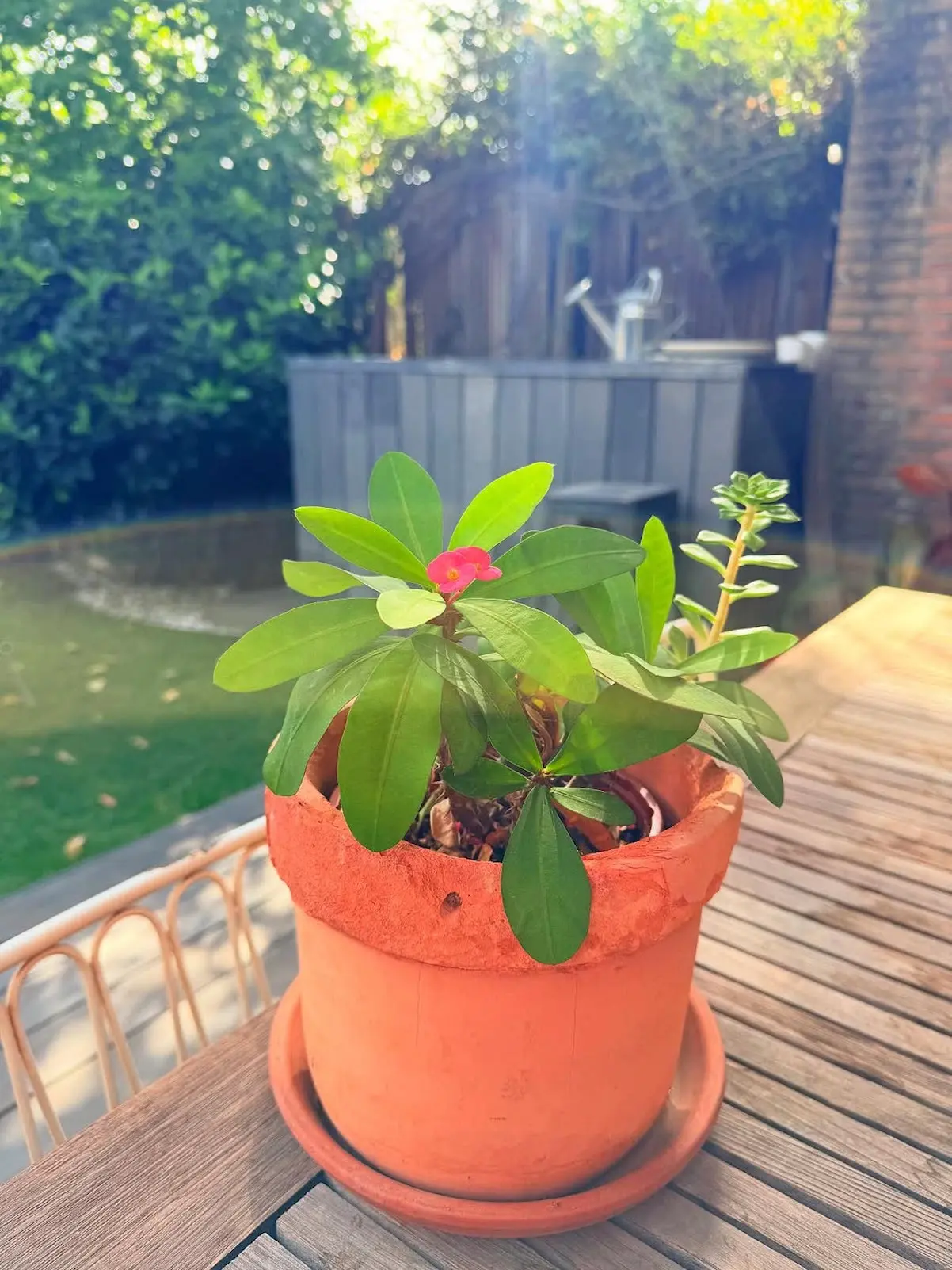 Nuria Roca Juan del Val Casa