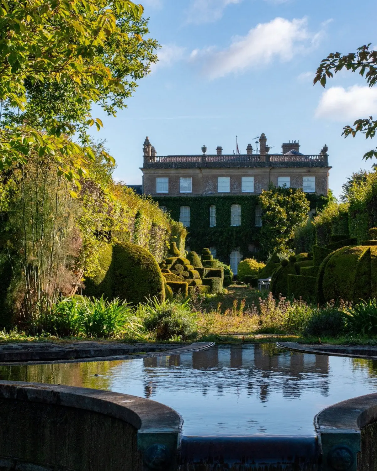 Carlos Camilla divorcio