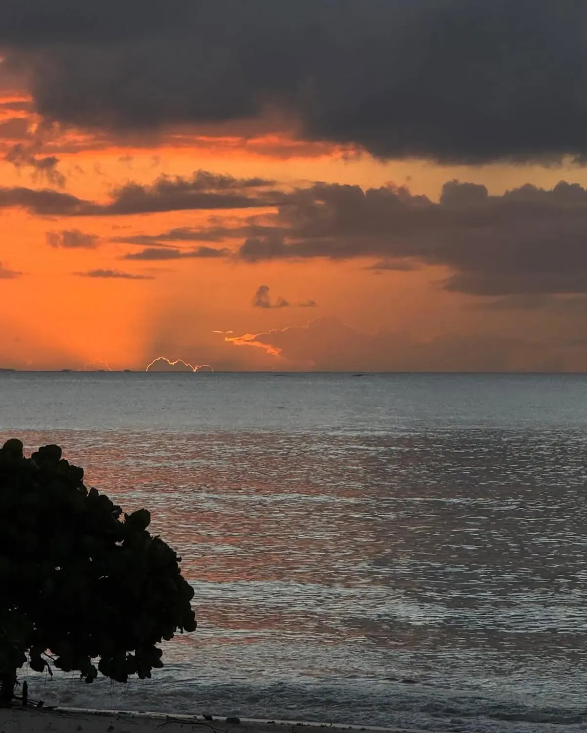 Carlos Alcaraz vacaciones amigos