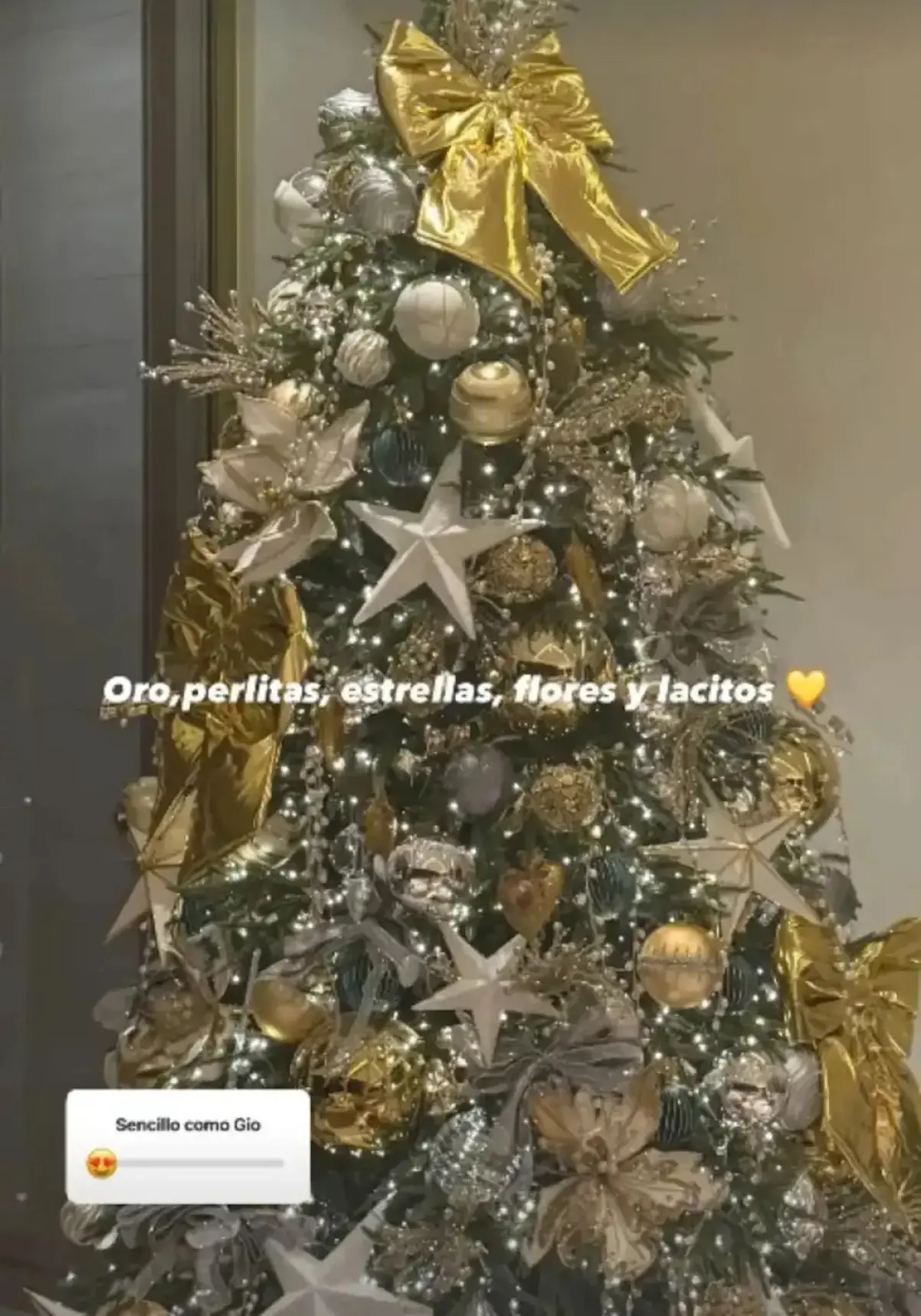 2Georgina Arbol copia