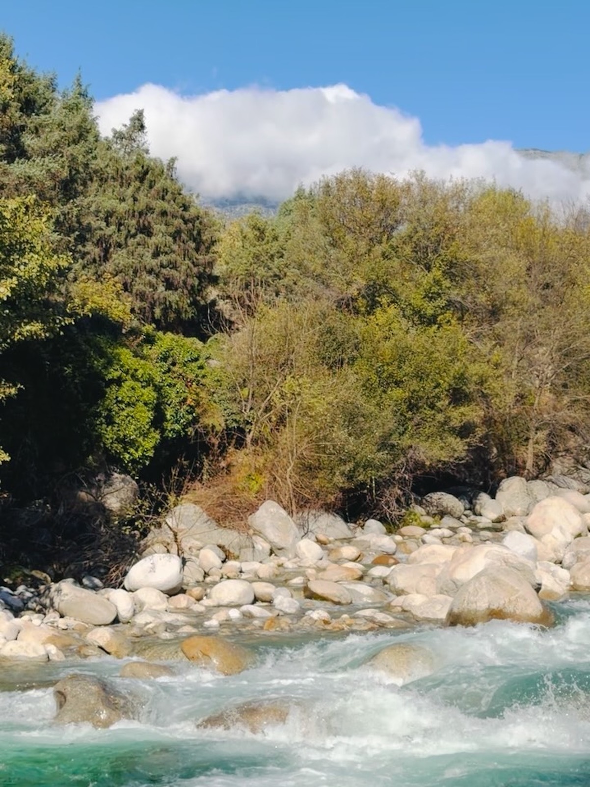 Nuria Roca Juan del Val Casa Sierra de Gredos