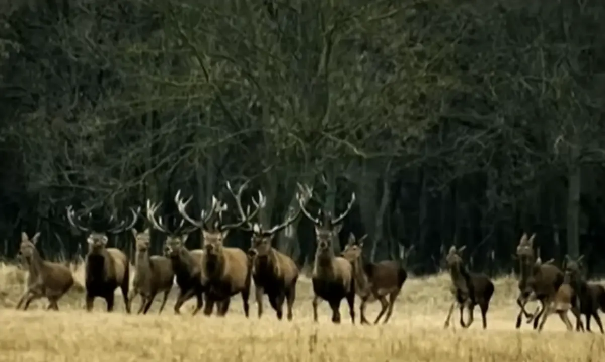 La foto que subió Candela Márquez y borró poco después.
