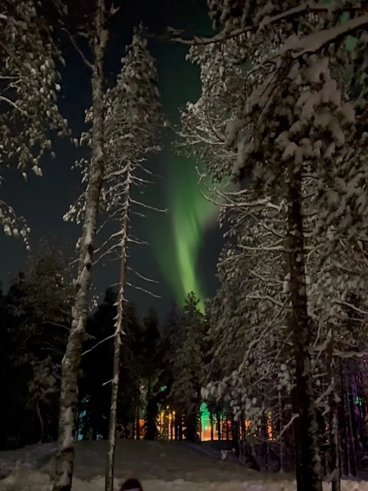 Roberto Leal y familia Viaje a Laponia