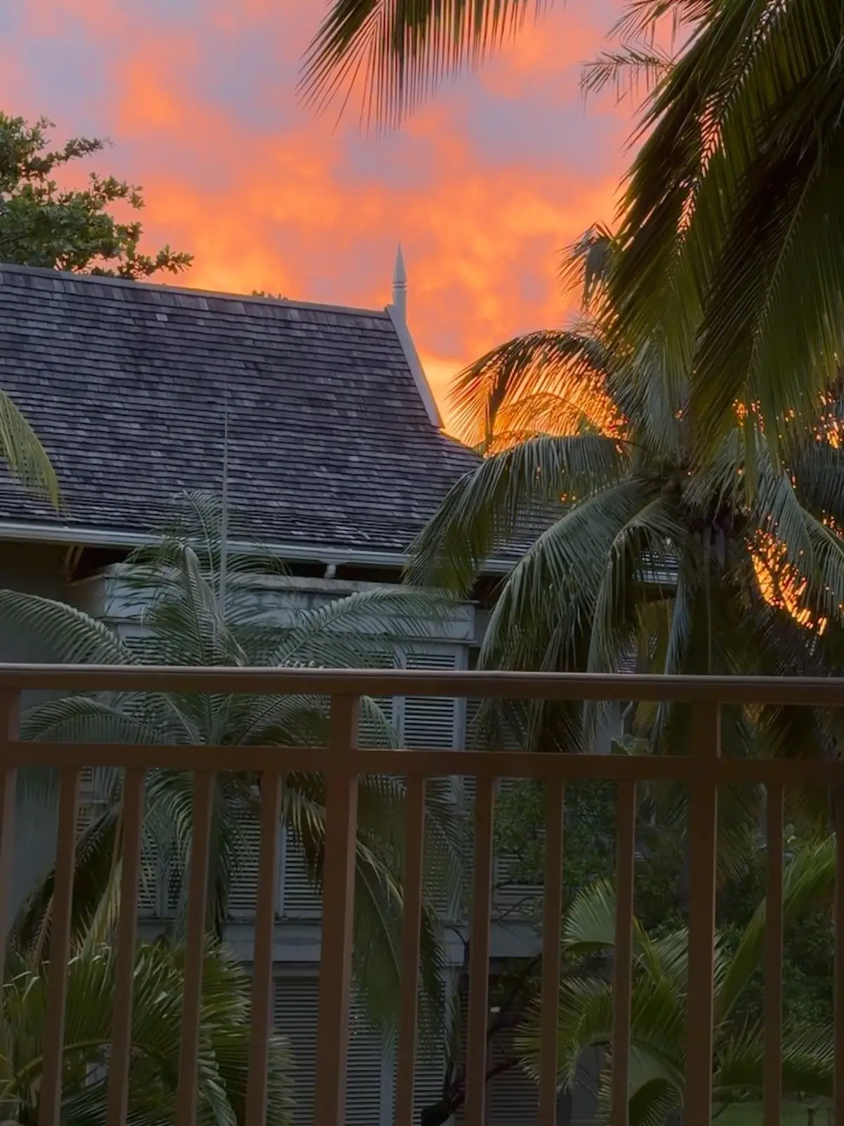 Mar Flores Islas Mauricio