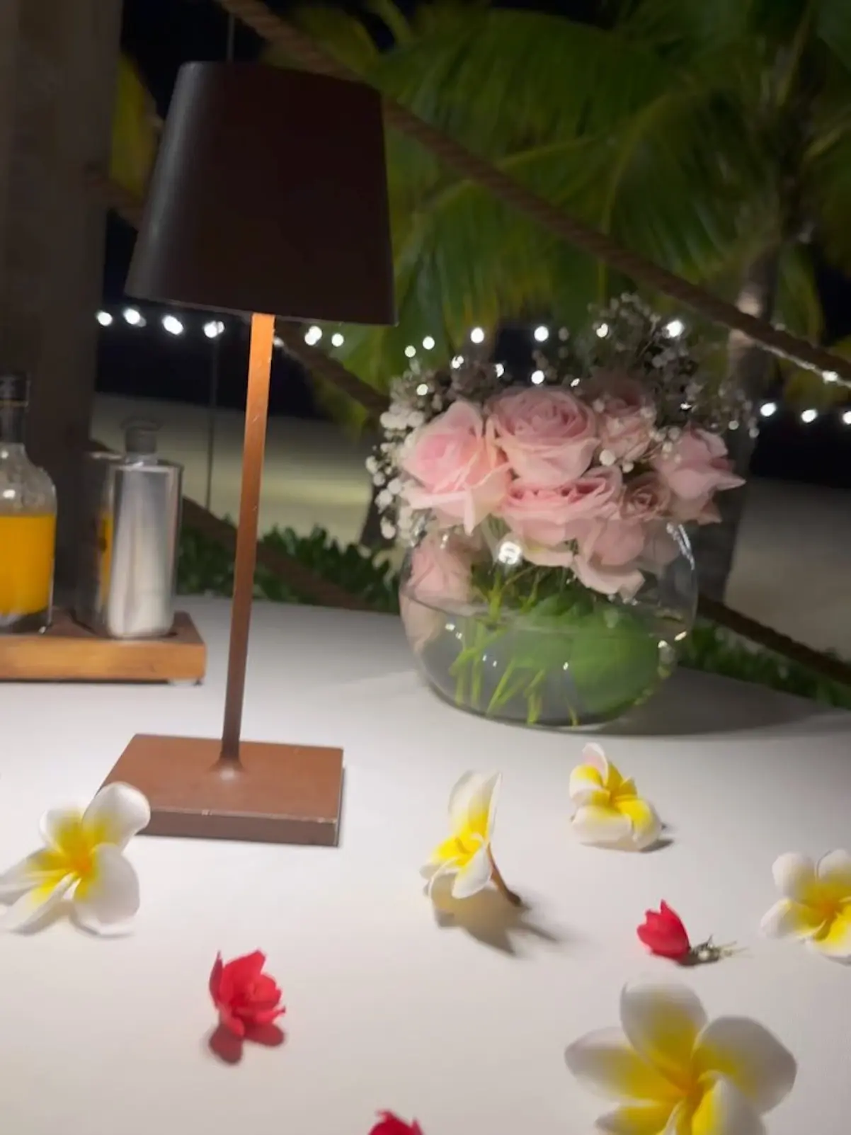 Mar Flores Islas Mauricio