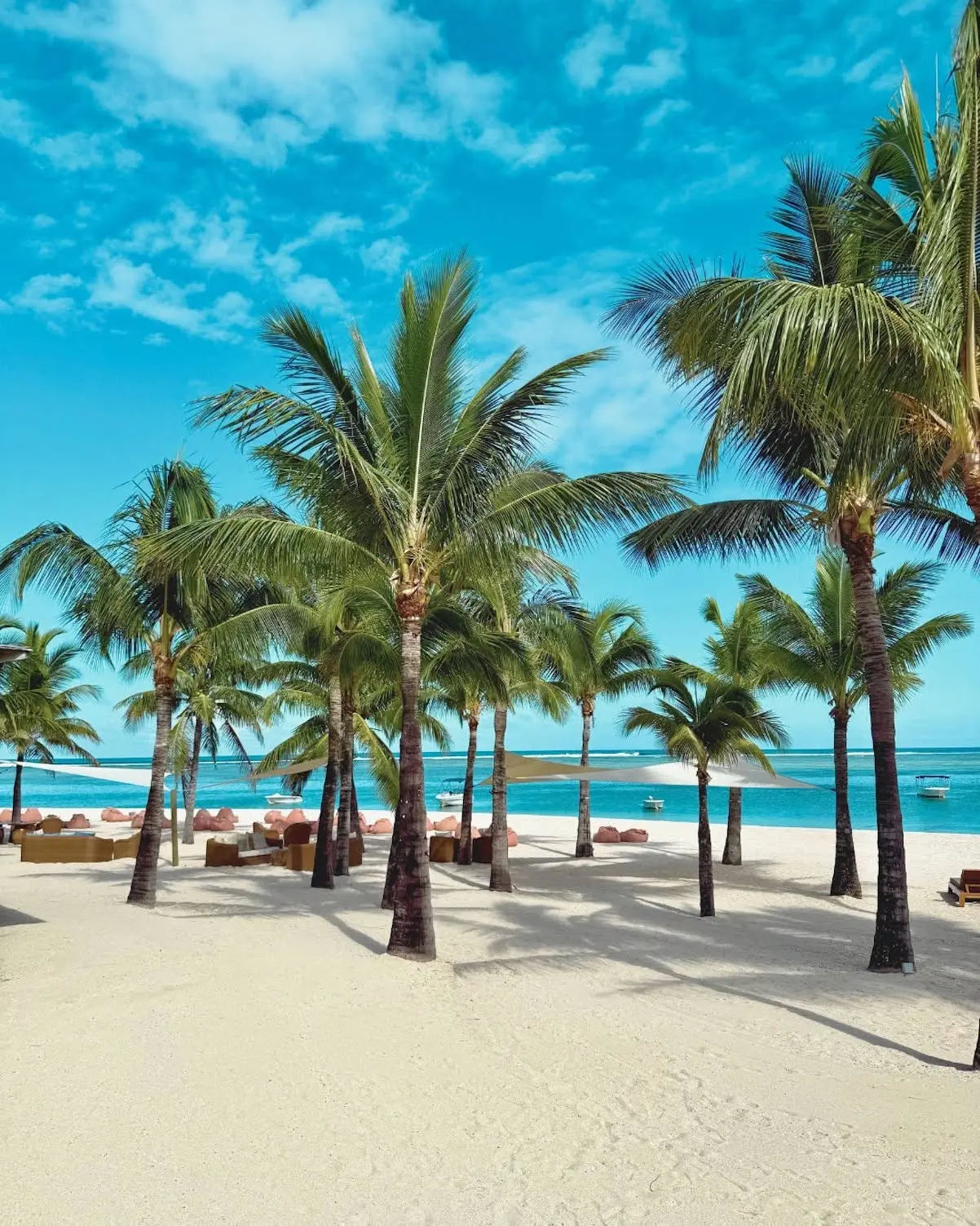 Mar Flores Islas Mauricio