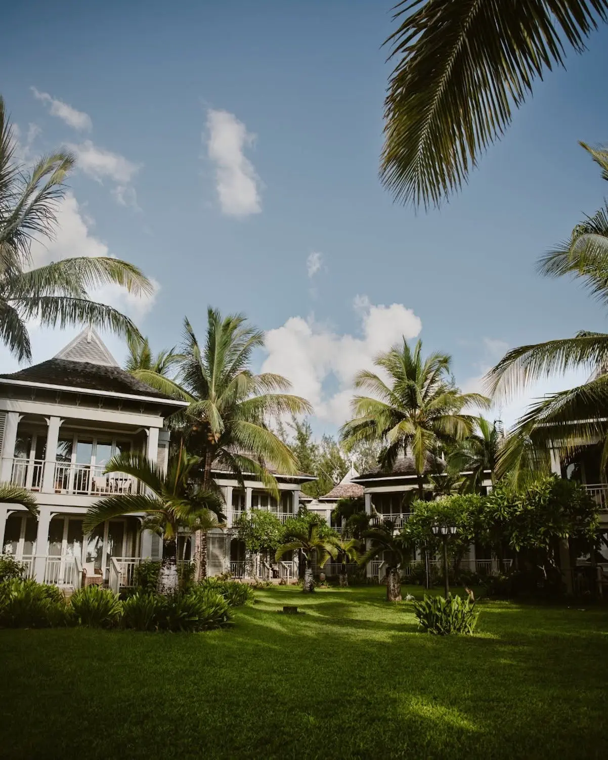 Mar Flores Islas Mauricio