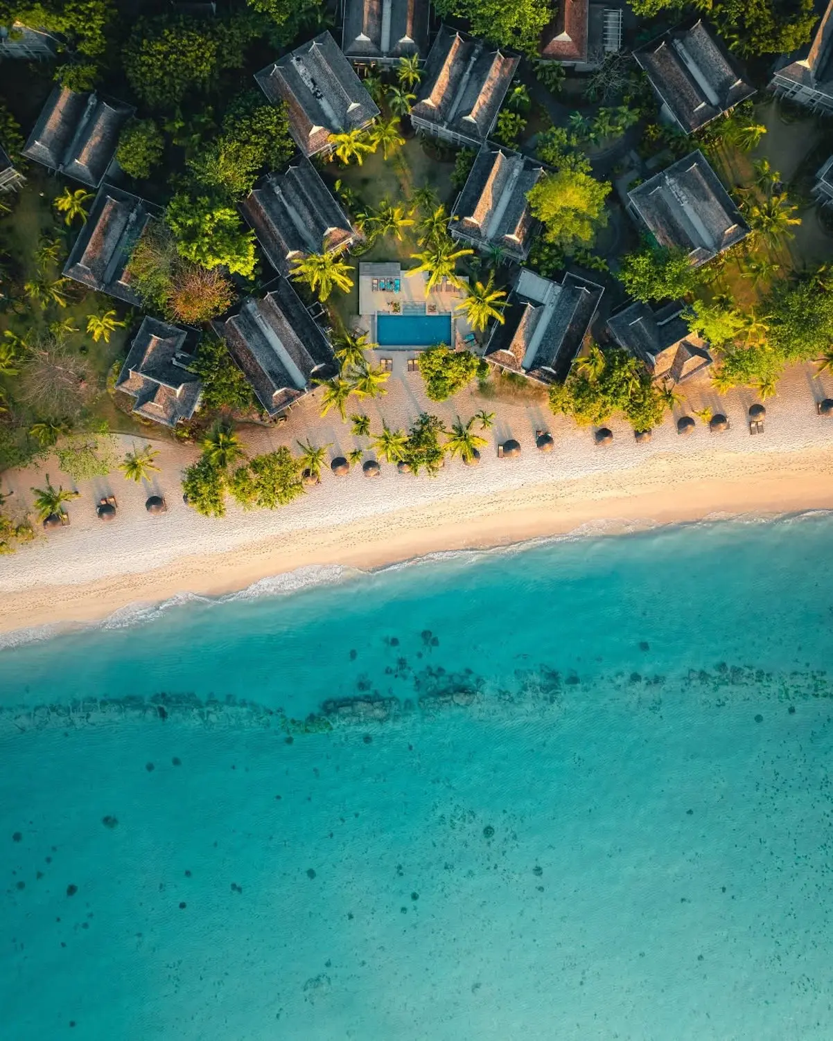 Mar Flores Islas Mauricio