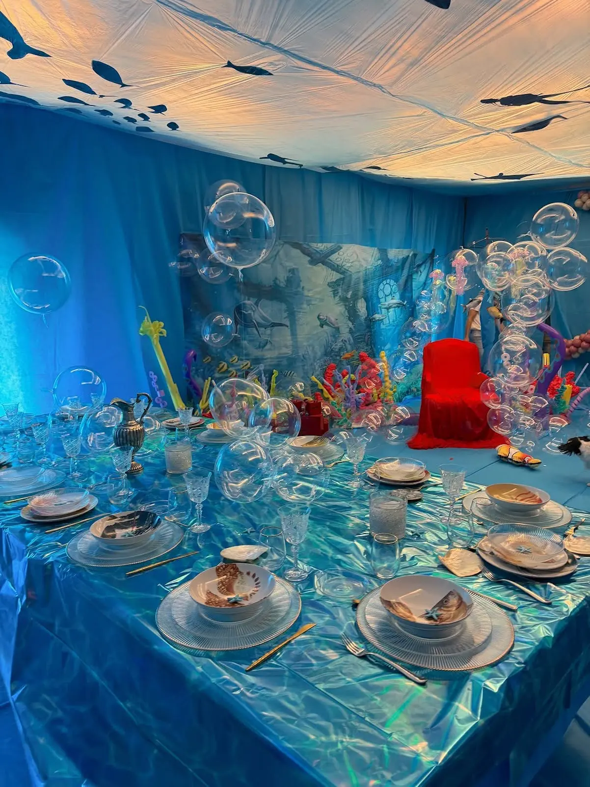 Paz Padilla Reyes 2026