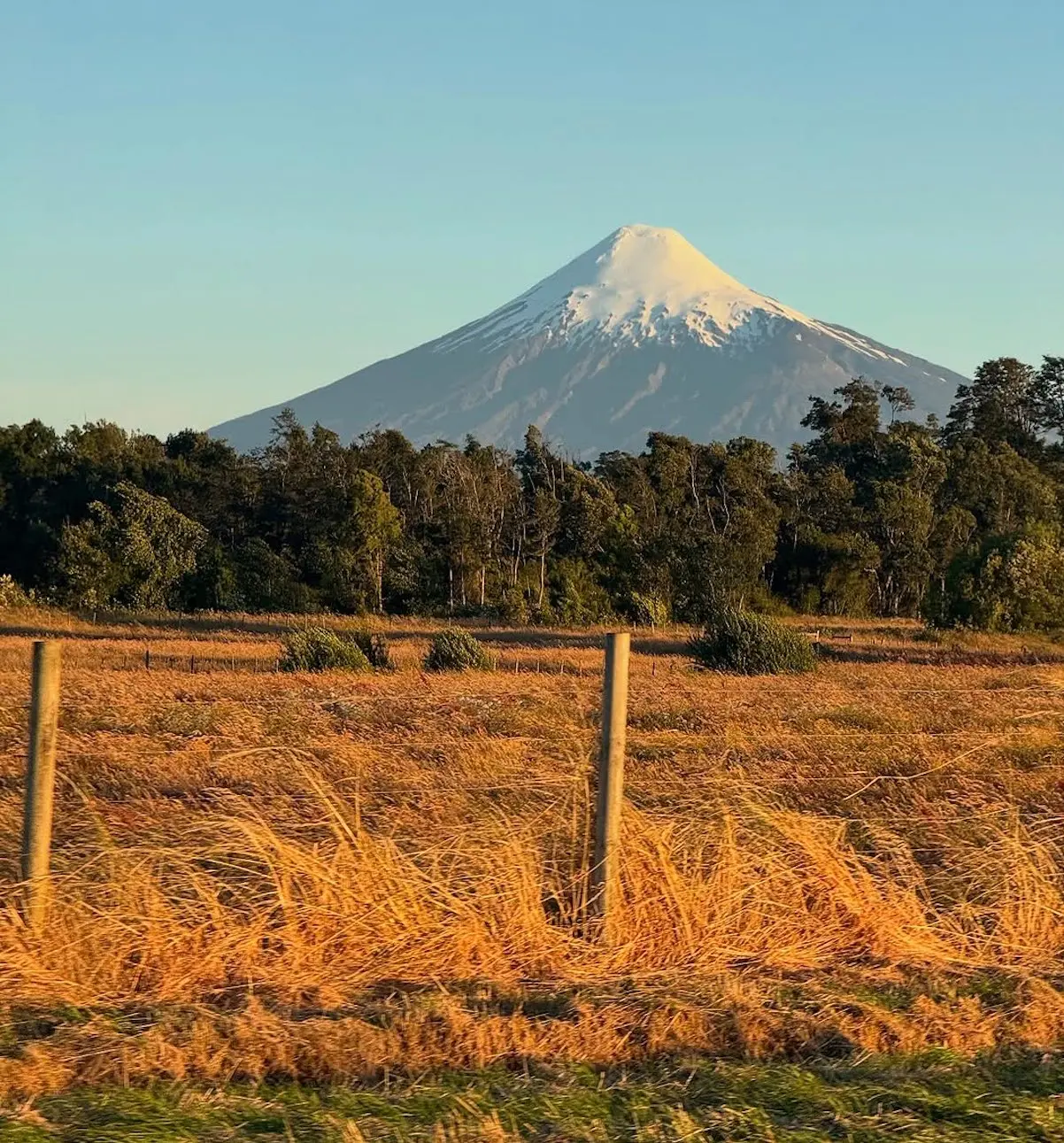 Ráquel Sánchez Silva Patagonia Argentina