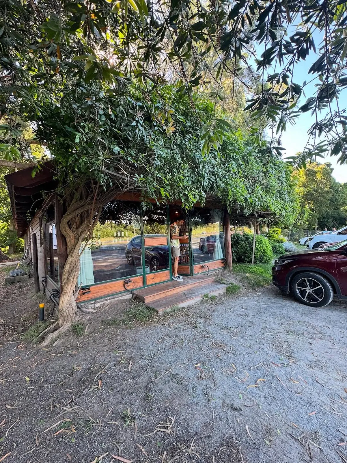 Ráquel Sánchez Silva Patagonia Argentina