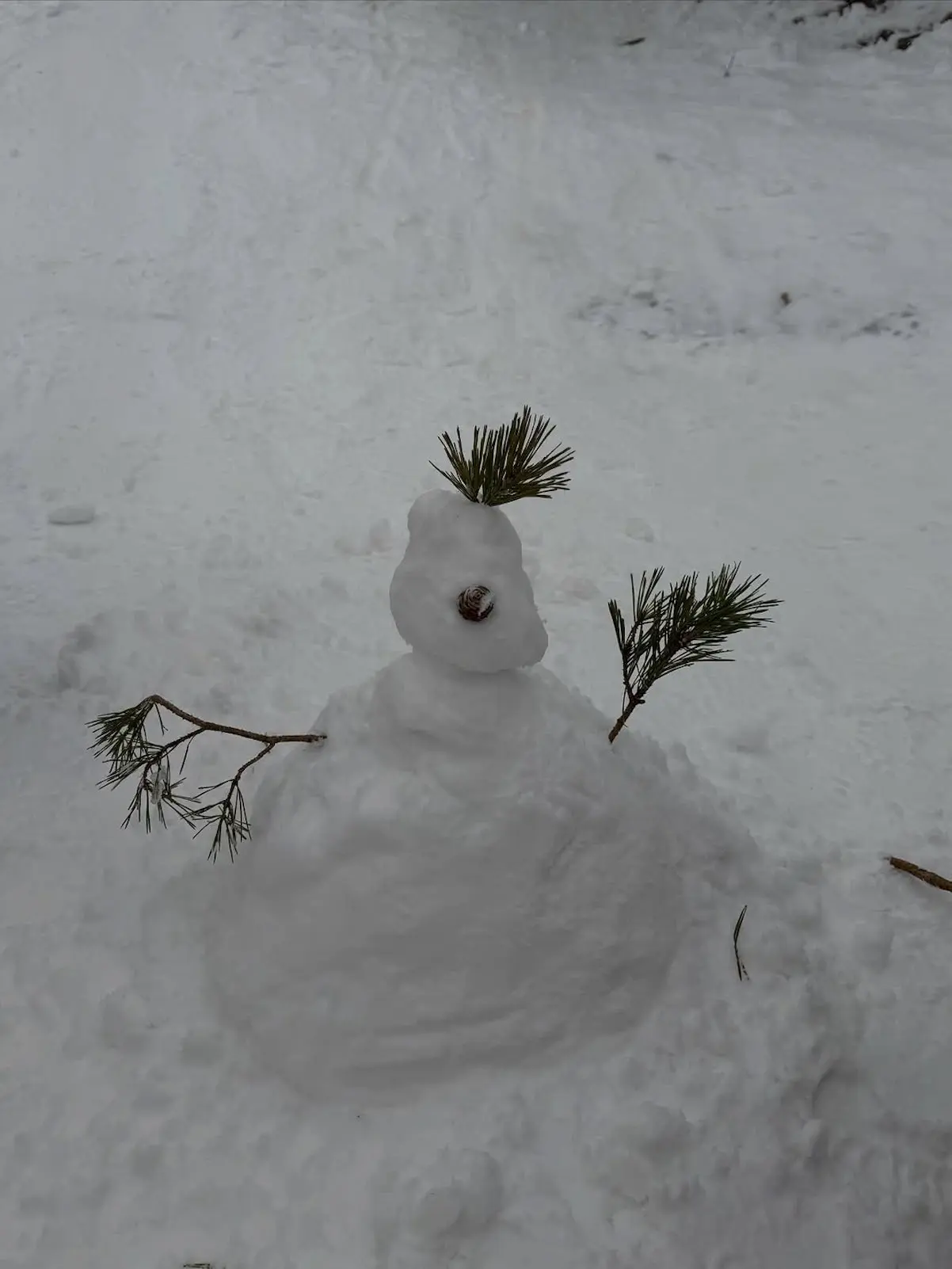 Violeta Mangriñan nieve