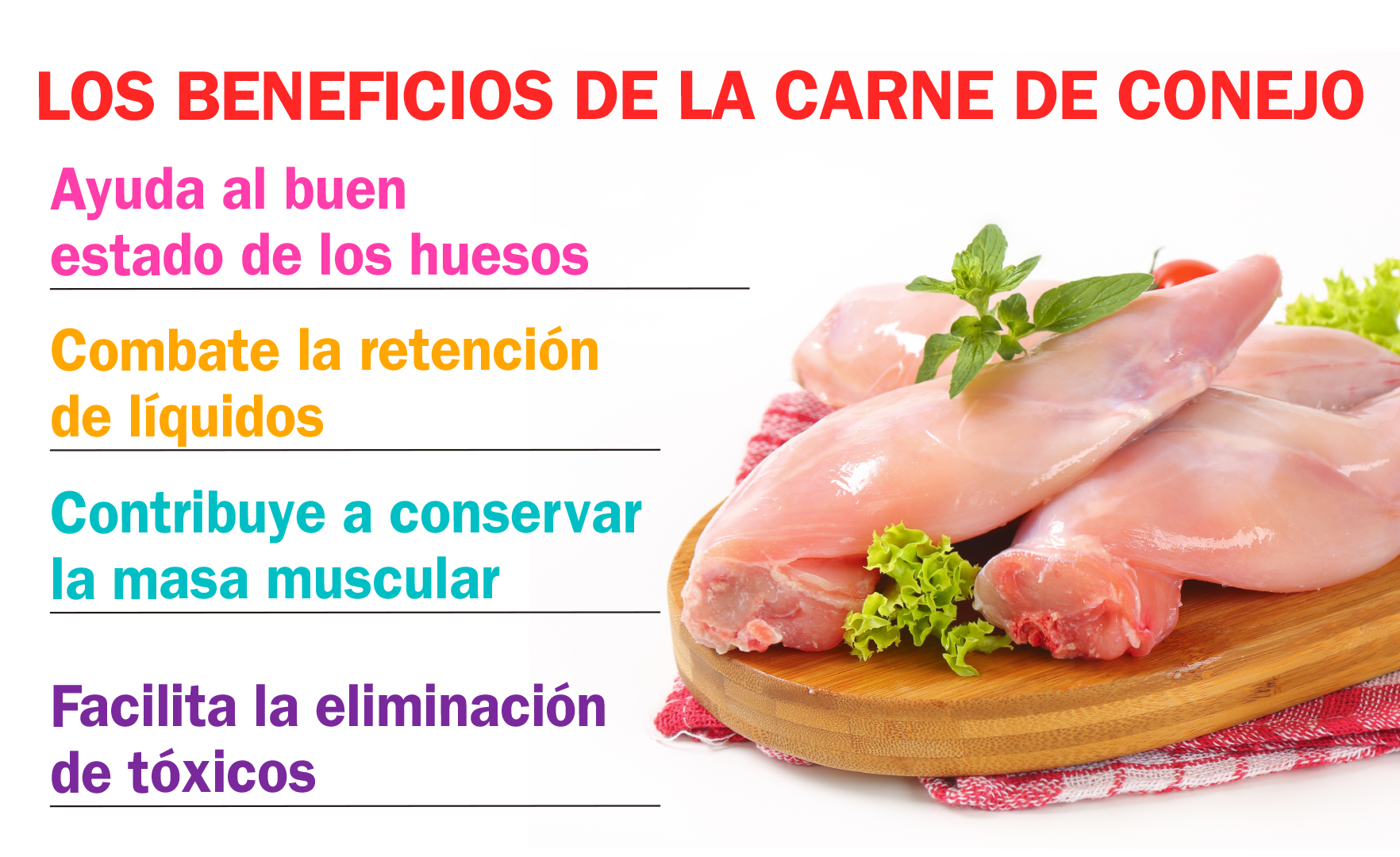 El Infográfico La Carne De Conejo.